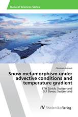 Snow metamorphism under advective conditions and temperature gradient