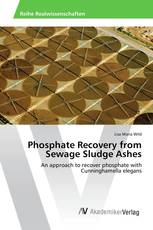 Phosphate Recovery from Sewage Sludge Ashes
