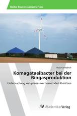 Komagataeibacter bei der Biogasproduktion