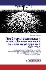 Проблемы реализации прав собственности на природно-ресурсный капитал