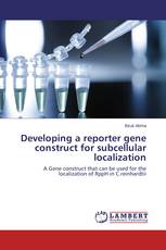 Developing a reporter gene construct for subcellular localization