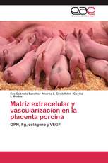 Matríz extracelular y vascularización en la placenta porcina