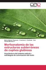 Morfoanatomía de las estructuras subterráneas de cuphea glutinosa