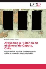 Arqueología Histórica en el Mineral de Capote, Chile
