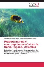Pradera marina y macroepifauna móvil en la Bahía Triganá, Colombia