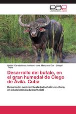 Desarrollo del búfalo, en el gran humedal de Ciego de Ávila. Cuba