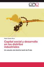 Capital social y desarrollo en los distritos industriales