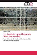 La Justicia ante Órganos Internacionales