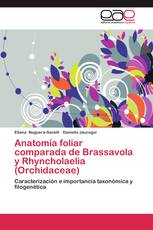 Anatomía foliar comparada de Brassavola y Rhyncholaelia (Orchidaceae)