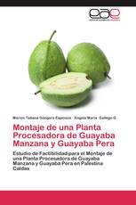 Montaje de una Planta Procesadora de Guayaba Manzana y Guayaba Pera