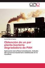 Obtención de un par planta-bacteria degradadora de PAH