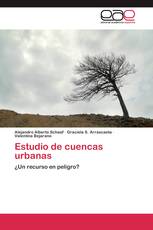 Estudio de cuencas urbanas