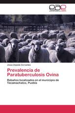 Prevalencia de Paratuberculosis Ovina