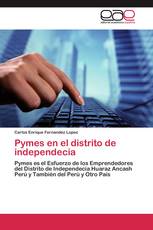 Pymes en el distrito de independecia