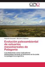 Evolución paleoambiental de estuarios mesomareales de Patagonia