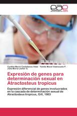 Expresión de genes para determinación sexual en Atractosteus tropicus