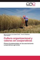 Cultura organizacional y valores en cooperativas