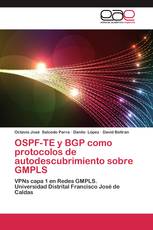 OSPF-TE y BGP como protocolos de autodescubrimiento sobre GMPLS
