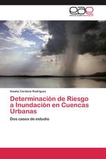 Determinación de Riesgo a Inundación en Cuencas Urbanas