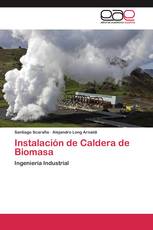 Instalación de Caldera de Biomasa
