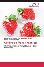 Cultivo de fresa orgánica