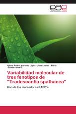 Variabilidad molecular de tres fenotipos de "Tradescantia spathacea"