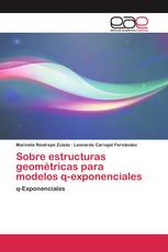 Sobre estructuras geométricas para modelos q-exponenciales