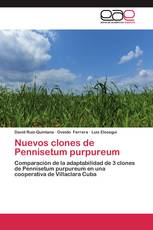 Nuevos clones de Pennisetum purpureum