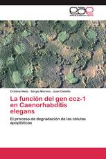 La función del gen ccz-1 en Caenorhabditis elegans