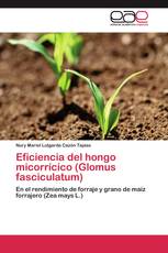 Eficiencia del hongo micorrícico (Glomus fasciculatum)