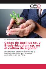 Cepas de Bacillus sp. y Bradyrhizobium sp. en el cultivo de algodón