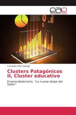 Clusters Patagónicos II, Cluster educativo