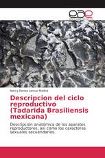 Descripcion del ciclo reproductivo (Tadarida Brasiliensis mexicana)