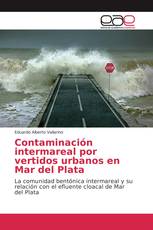 Contaminación intermareal por vertidos urbanos en Mar del Plata