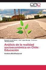 Análisis de la realidad socioeconómica en Chile: Educación