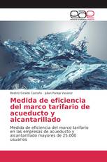 Medida de eficiencia del marco tarifario de acueducto y alcantarillado