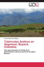 Tubérculos Andinos en Sugamuxi, Boyacá, Colombia