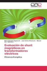 Evaluación de shunt magnéticos en transformadores eléctricos