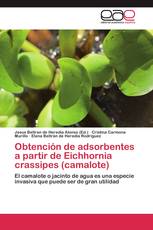 Obtención de adsorbentes a partir de Eichhornia crassipes (camalote)