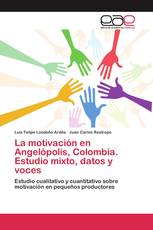La motivación en Angelópolis, Colombia. Estudio mixto, datos y voces