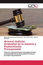 Arancel Judicial, Gratuidad de la Justicia y Padecimiento Presupuestal