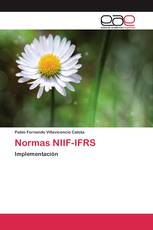Normas NIIF-IFRS