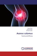 Acorus calamus