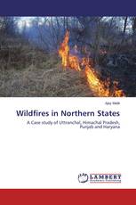 Wildfires in Northern States