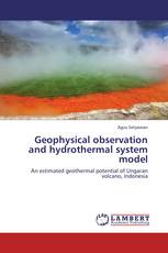 Geophysical observation and hydrothermal system model