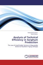 Analysis of Technical Efficiency in Sorghum Production