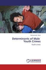 Determinants of Male   Youth Crimes