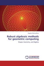 Robust algebraic methods for geometric computing