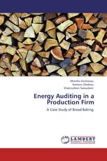 Energy Auditing in a Production Firm