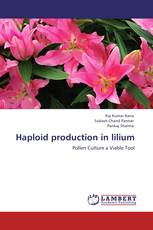 Haploid production in lilium